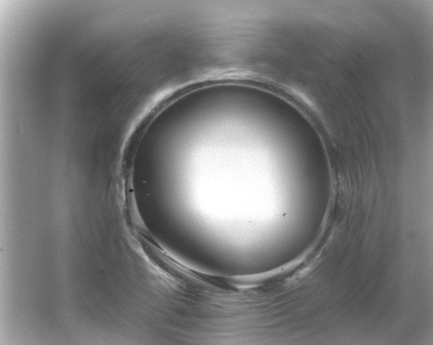 X0000066001414200603101519