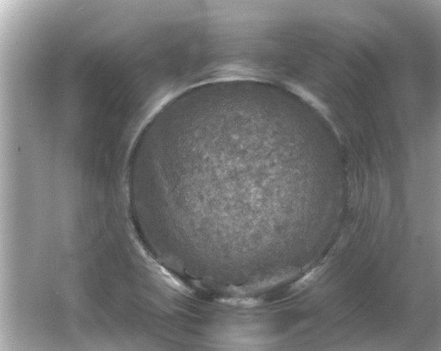 X0000066001415200603101519