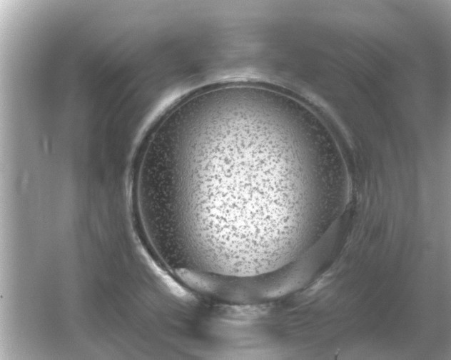 X0000066001416200603101519