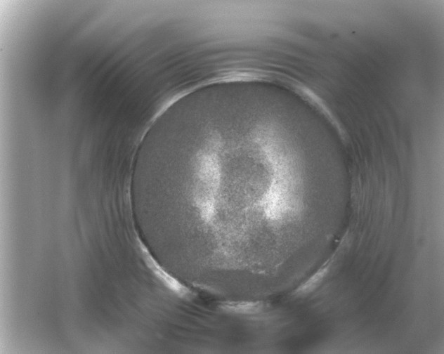 X0000066001417200603101519