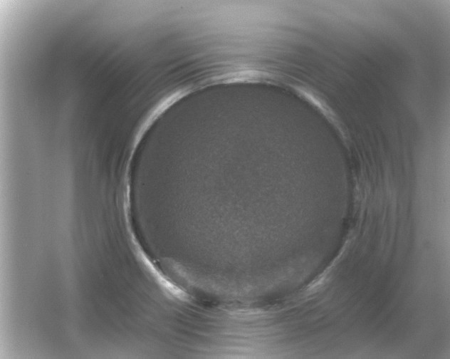 X0000066001418200603101519