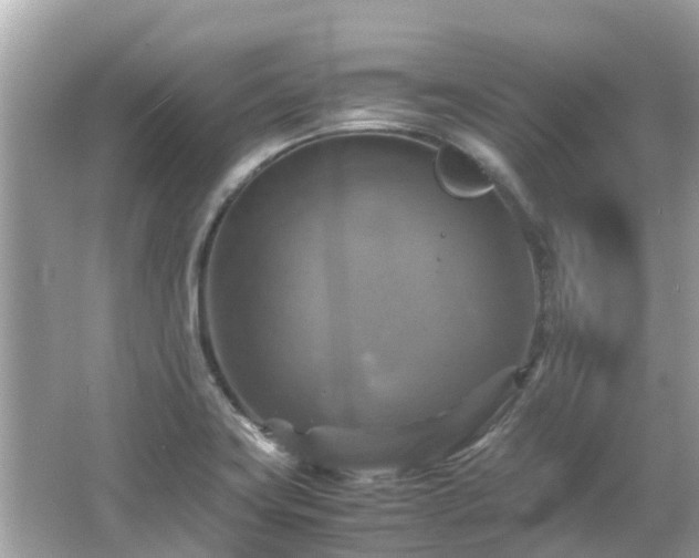 X0000066001419200603101519