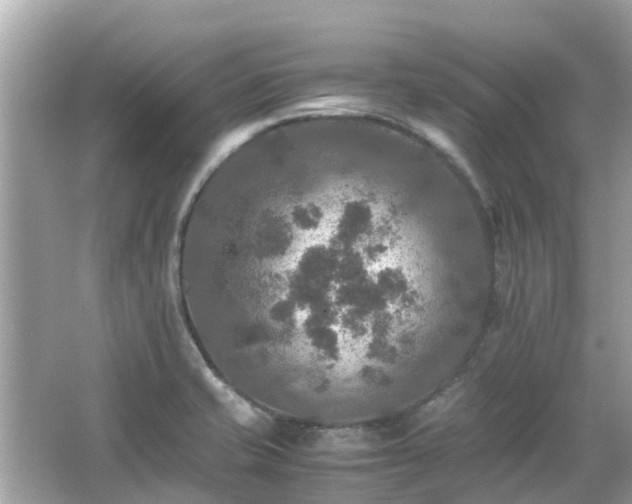 X0000066001421200603101519