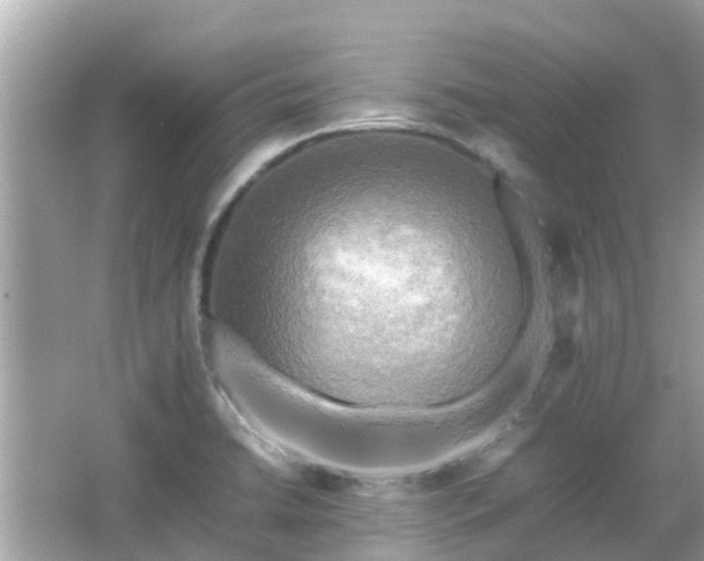 X0000066001422200603101519