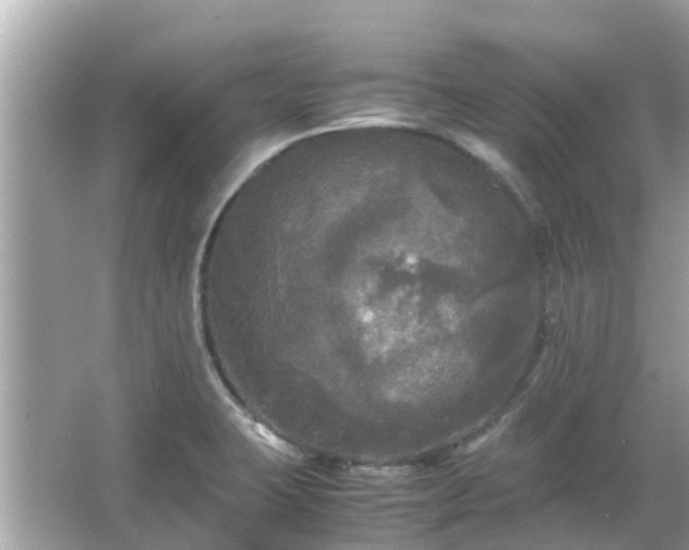 X0000066001423200603101519