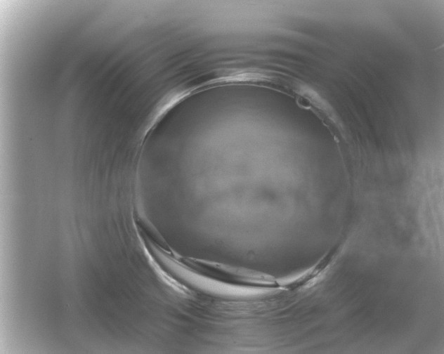 X0000066001425200603101519