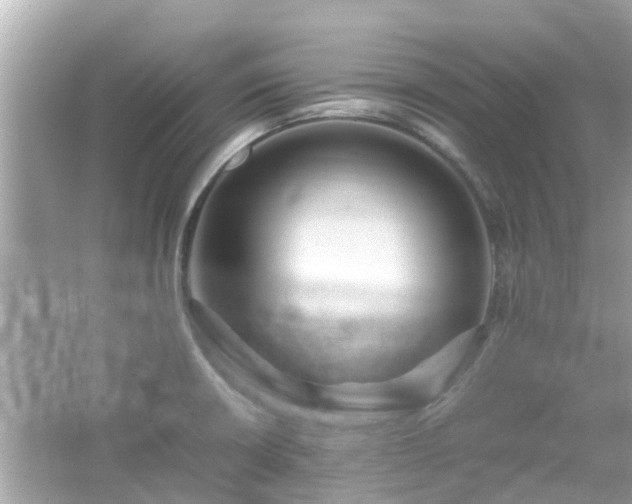 X0000066001426200603101519