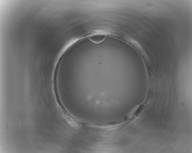 X0000066001427200603101519