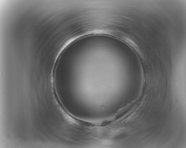 X0000066001428200603101519