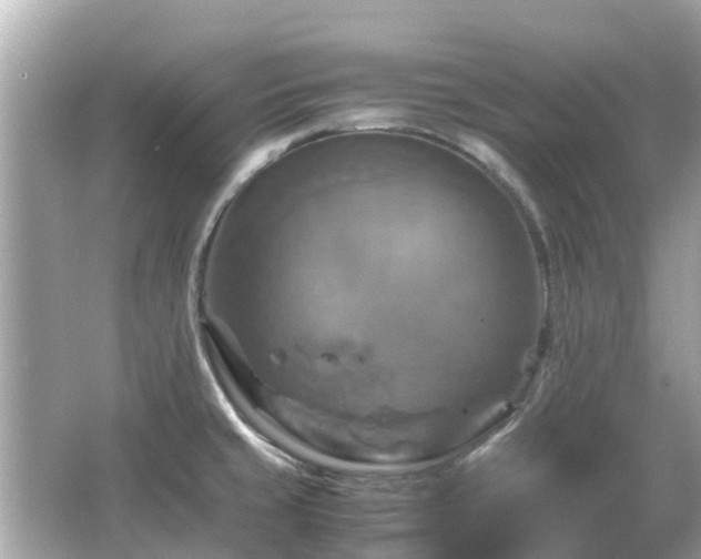 X0000066001429200603101519