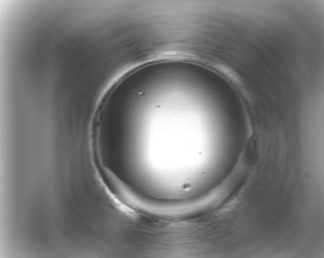 X0000066001430200603101519