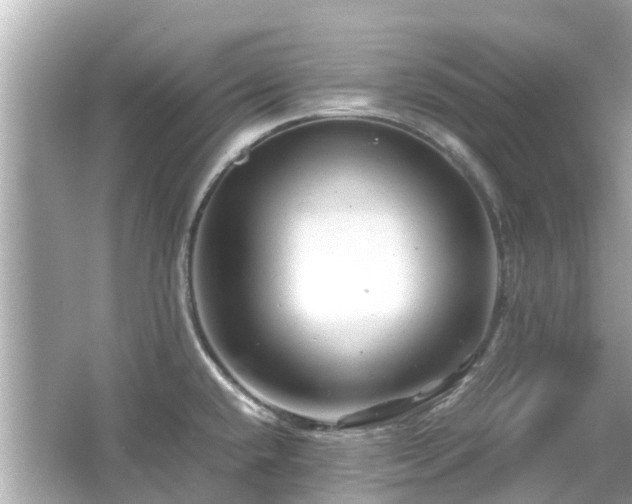 X0000066001432200603101519