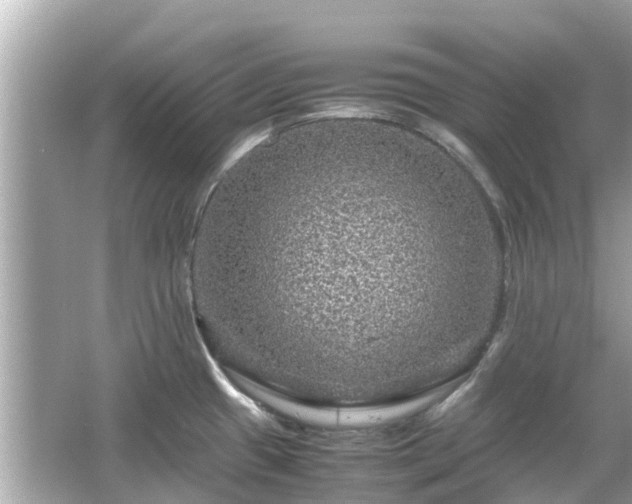 X0000066001433200603101519