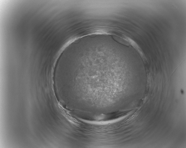 X0000066001435200603101519