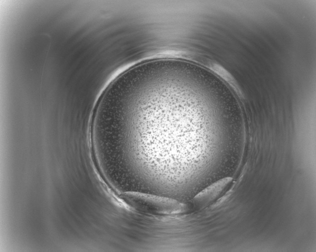 X0000066001436200603101519