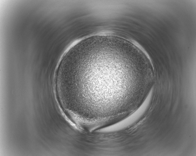 X0000066001437200603101519