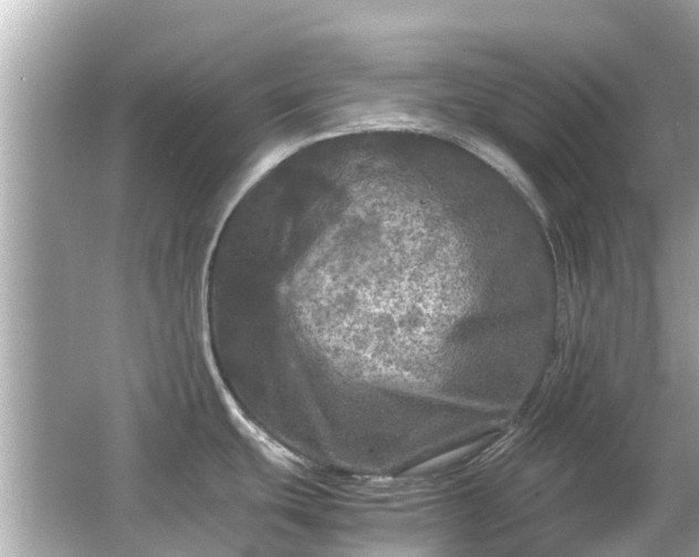 X0000066001439200603101519