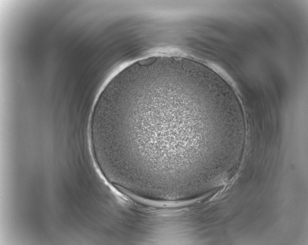 X0000066001440200603101519