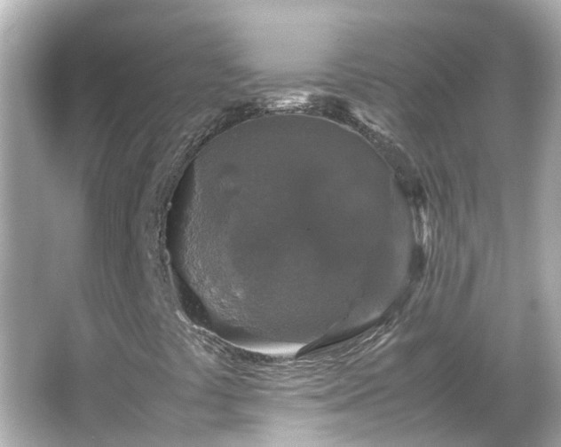 X0000066001441200603101518