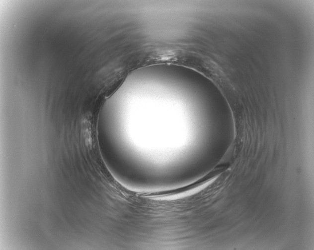 X0000066001442200603101518