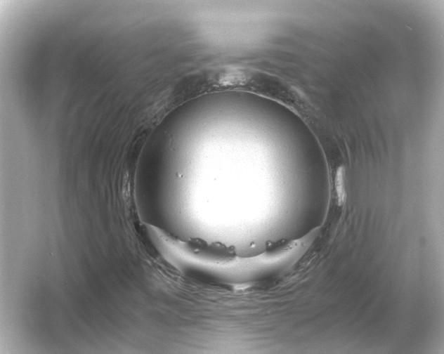 X0000066001443200603101518