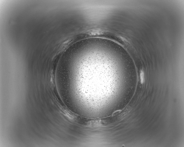 X0000066001444200603101518