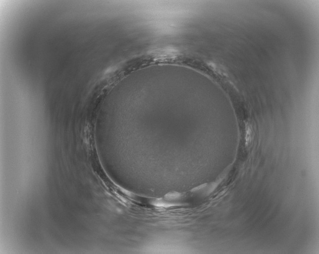 X0000066001445200603101518