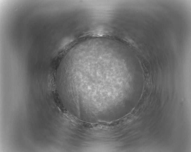 X0000066001446200603101518