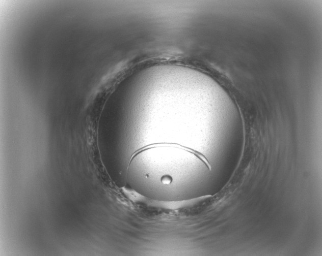 X0000066001447200603101518