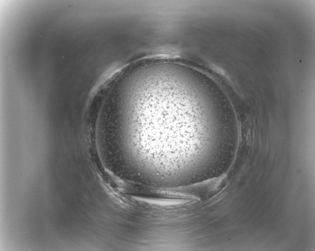 X0000066001448200603101518