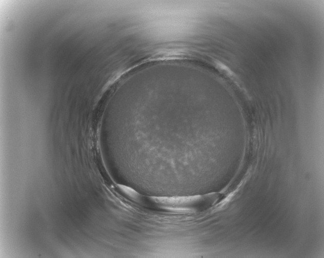 X0000066001449200603101518