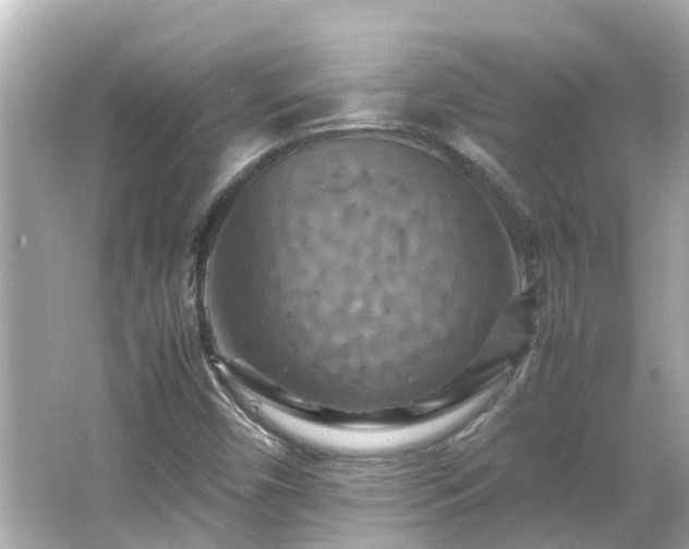 X0000066001450200603101518