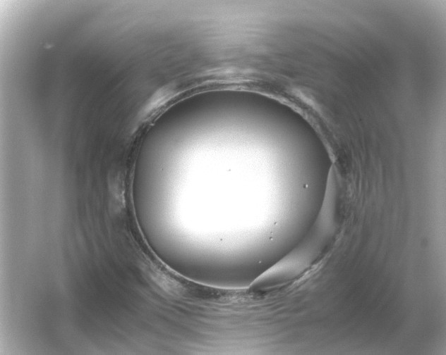 X0000066001451200603101518