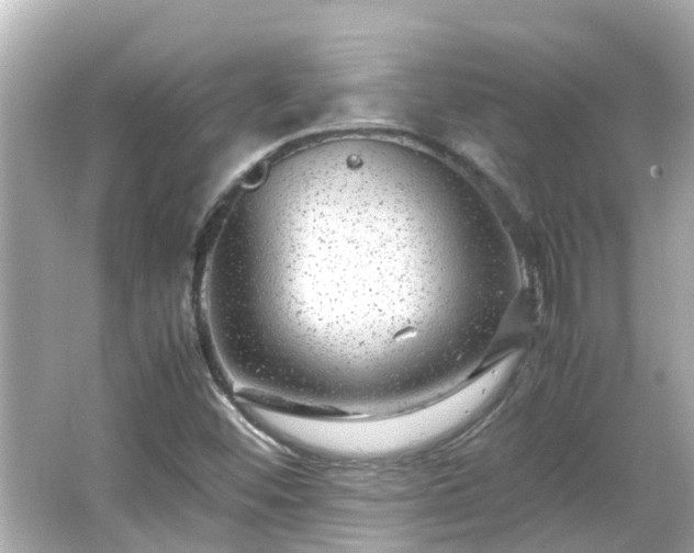 X0000066001452200603101518