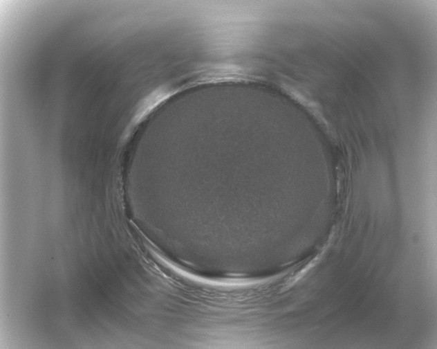 X0000066001453200603101518