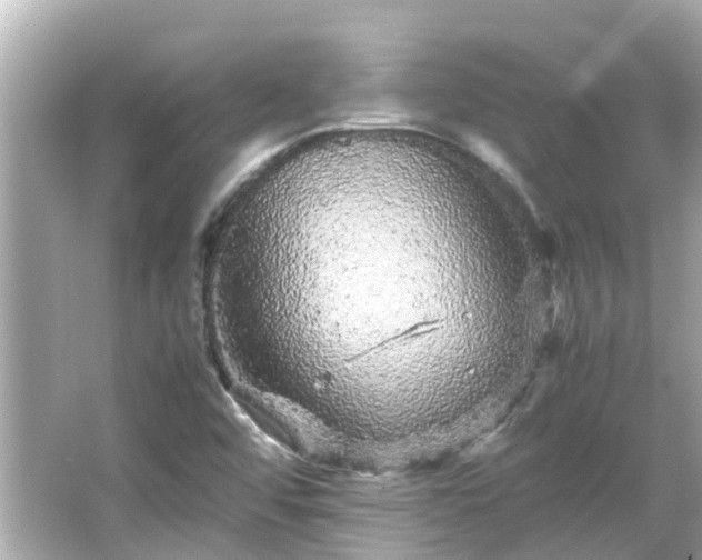 X0000066001456200603101518