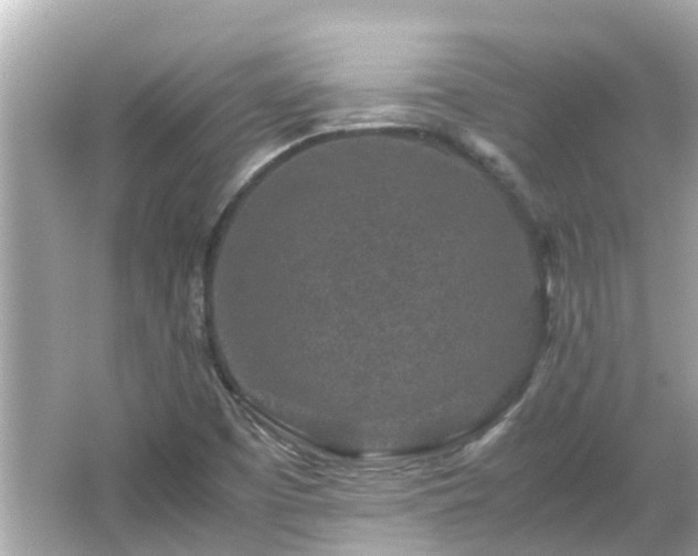 X0000066001457200603101518