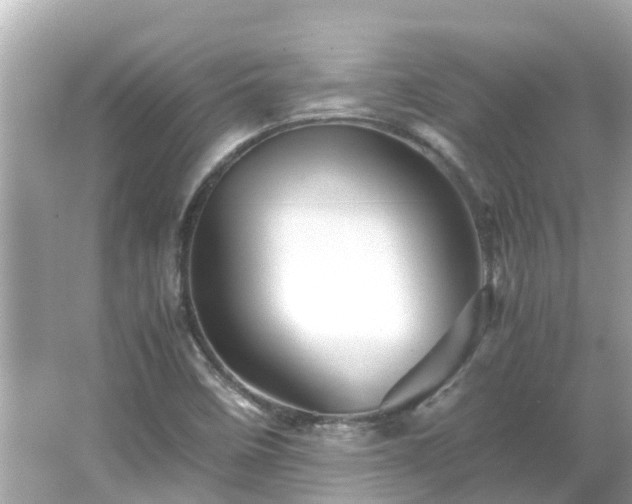 X0000066001458200603101518