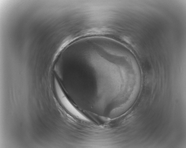 X0000066001459200603101518