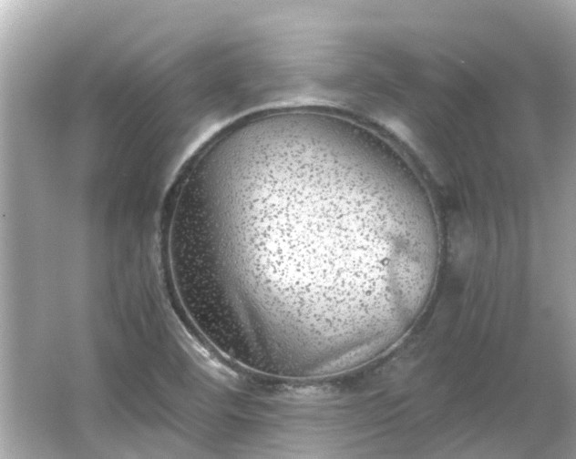 X0000066001460200603101518