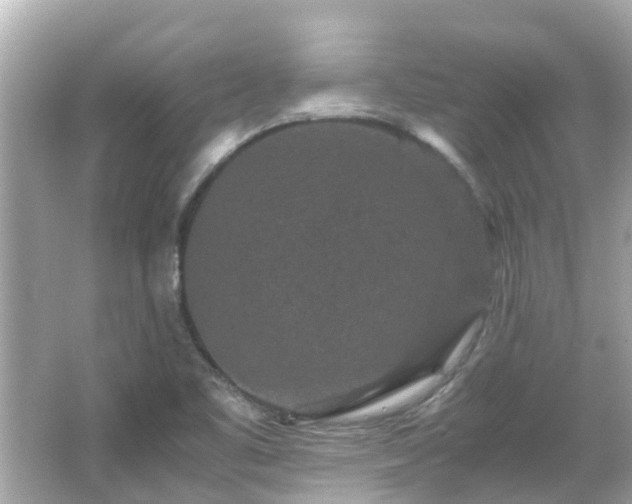 X0000066001461200603101518