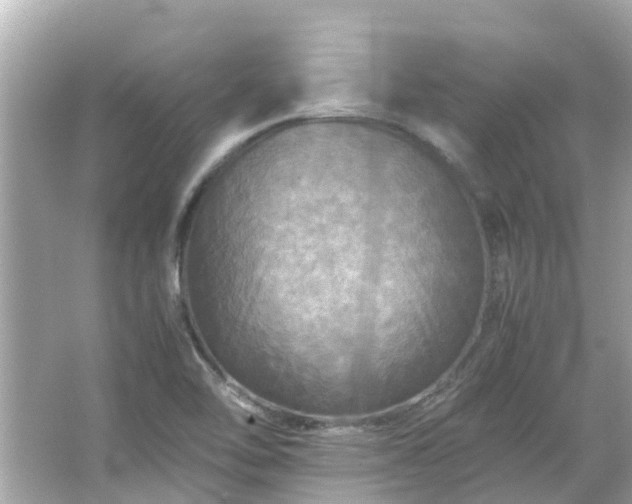 X0000066001462200603101518