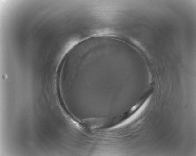 X0000066001463200603101518