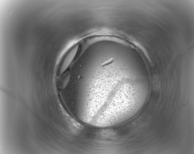 X0000066001464200603101518