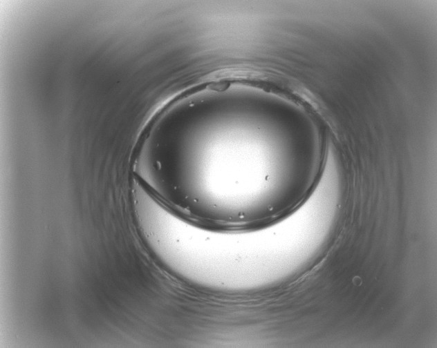 X0000066001465200603101518