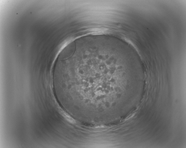 X0000066001467200603101518