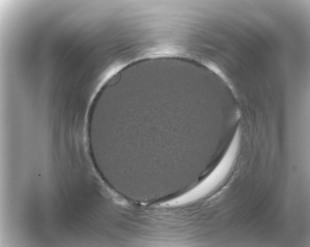 X0000066001469200603101518