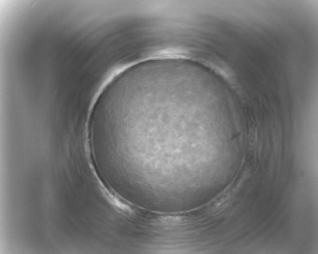 X0000066001470200603101518