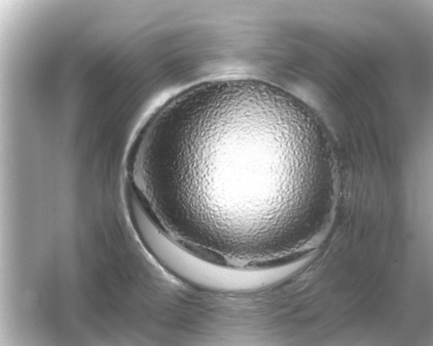 X0000066001472200603101518