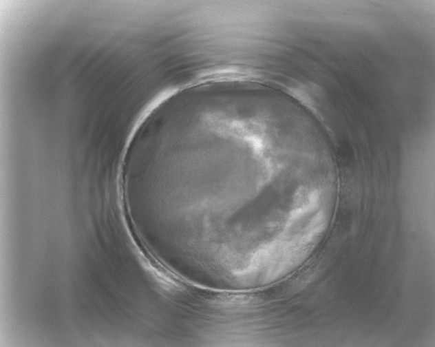 X0000066001474200603101518